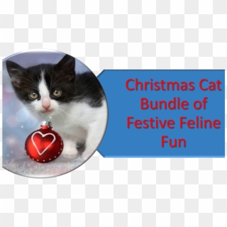 Christmas Cat Quotes, HD Png Download
