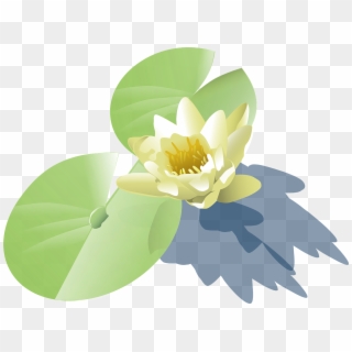 Lily Lotus Water Lily - Lily Pad Clip Art, HD Png Download