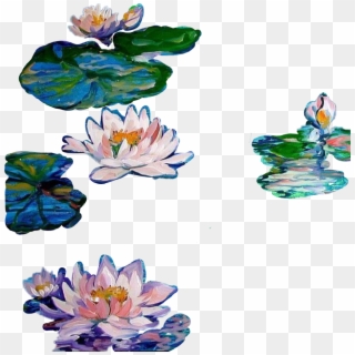 Colormehappy Sticker - Sacred Lotus, HD Png Download