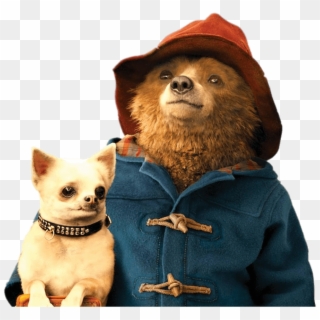 Paddington Bear Holding Small Dog - Aunt Lucy Uncle Pastuzo, HD Png Download