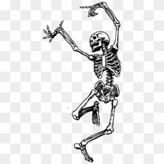 #dance #dancing #skeleton #happy #funny #havefun #aesthetic - Dance Skeleton, HD Png Download