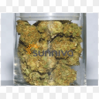 0 - Whistler Medical Marijuana, HD Png Download