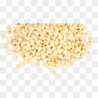 For A Quote - White Maize Seeds, HD Png Download