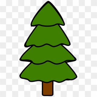 Tree Fir Pine Spruce Nature Png Image - Pine Tree Png Clipart, Transparent Png