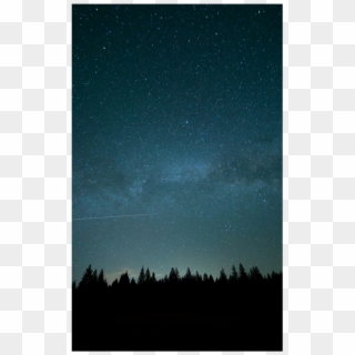 #night #trees #stars #woods - Shortleaf Black Spruce, HD Png Download