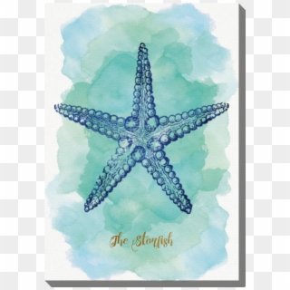 Photo Canvas Cm Blue Starfish - Sketsa Gambar Bintang Laut, HD Png Download