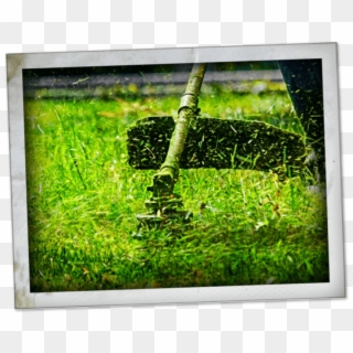 Precision Trimming - Grass, HD Png Download