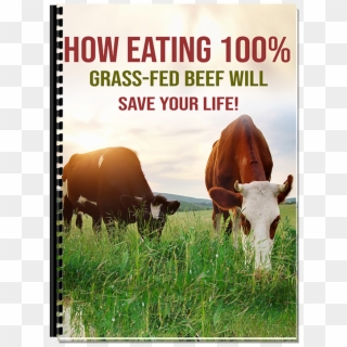 Grass Fed Beef, HD Png Download
