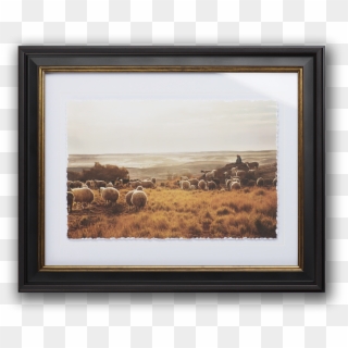 By Christine Armbruster - Picture Frame, HD Png Download