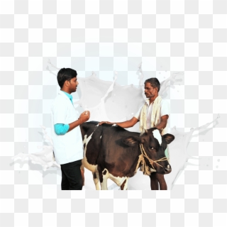 Right Side Image - Milk Man With Cow Png, Transparent Png