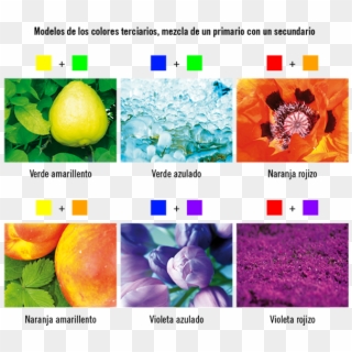 90642 - Objetos De Colores Secundarios, HD Png Download