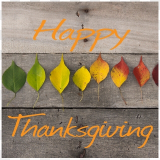 Happy Thanksgiving, HD Png Download