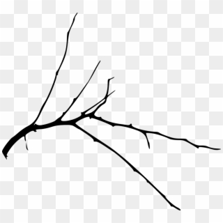 Free Png Simple Tree Branch Png - Twig, Transparent Png
