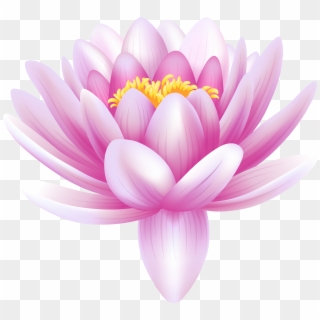 Flower Drawing Images, Pink Lotus, Flower Clipart, - Water Lily Drawing, HD Png Download