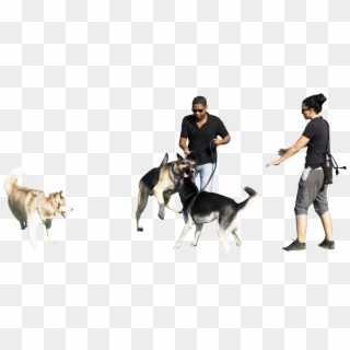 Person Walking Dog Png Download, Transparent Png