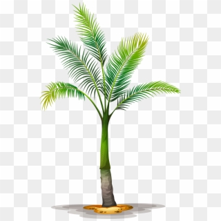 Date Palm Clipart Tropical Tree - Palm Tree Transparent Background, HD Png Download