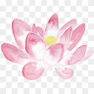 Pink Lotus Png In Watercolor Large - Sacred Lotus, Transparent Png