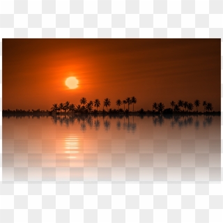 Peel N Stick Poster Of Sun Tree Isolated Sunset Png - Sunrise Nature Png, Transparent Png