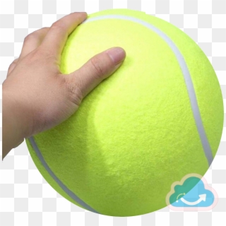 Giant Pet Toy Monag Store - Tennis, HD Png Download