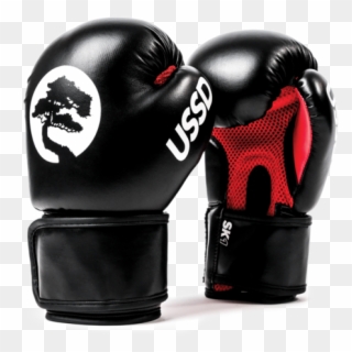 Ussd Sk1 Sparring Gloves Series - Professional Boxing, HD Png Download
