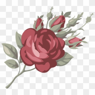 Роза, Цветок Розы, Красная Роза - Garden Roses, HD Png Download