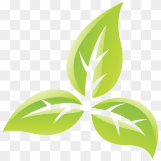 Best Bootcamp Norwich - Tobacco Plant Symbol, HD Png Download