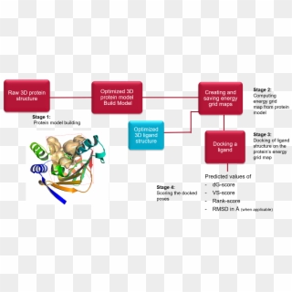 Figure 1 A Typical Lead Finder Workflow - Protein Docking, HD Png Download