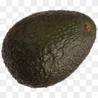 Hass Avocados - Avocado, HD Png Download
