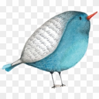 Bird Watercolor Cute Fat Bluebird - Clipart Of Whimsical Birds, HD Png Download