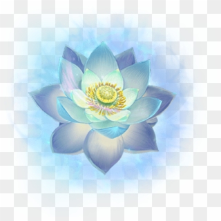 #lotus #flower #chinese #asian #ftestickers - Sacred Lotus, HD Png Download
