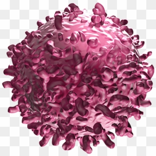 Bispecific Tcell Engager, Cancer Cell, Cancer, Pink, - Cartoon Cancer Cells, HD Png Download