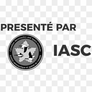 Casi-presente - Trenes Argentinos Cargas Logo, HD Png Download