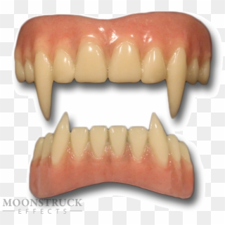 Tooth, HD Png Download