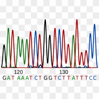 File - Dna Sequence - Svg - Sequence Dna, HD Png Download