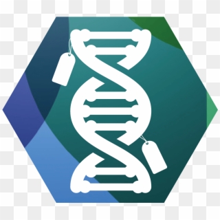 Dna Clipart Epigenetics - Epigenetics Png, Transparent Png