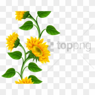 Free Png Sunflower Frame Png Png Image With Transparent - Sunflower Corner Border Png, Png Download