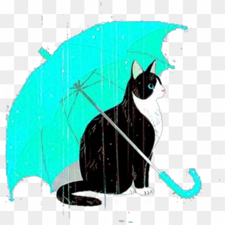 #mq #cat #blue #umbrella #rain - Umbrella Cat, HD Png Download
