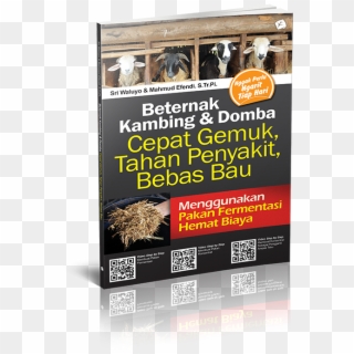 Pbook008 - Banner, HD Png Download