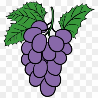 Grapeseedstudios On Scratch - Grapes Gif, HD Png Download