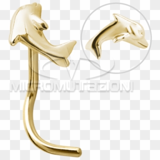 18k Gold Dolphin Nose Stud - Common Bottlenose Dolphin, HD Png Download