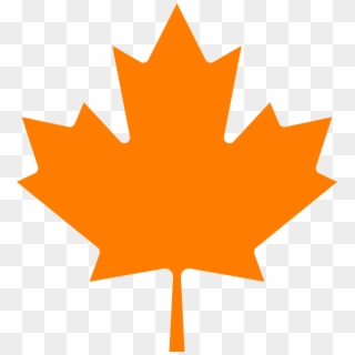 Maple Leaf Ndp - Canadian Maple Leaf Png, Transparent Png