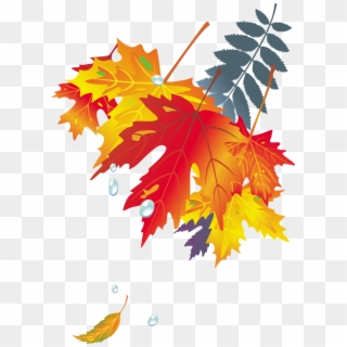 #mq #orange #leaf #leaves #autumn - Vector Graphics, HD Png Download