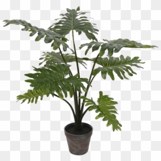 Artificial Potted Grand Floor Philodendron Tree In - Philodendron Faux, HD Png Download
