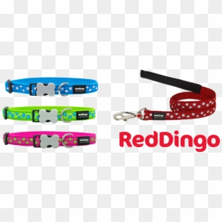 Red Dingo Collars For Dogs - Strap, HD Png Download