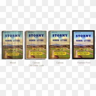 Stormy - Flyer, HD Png Download