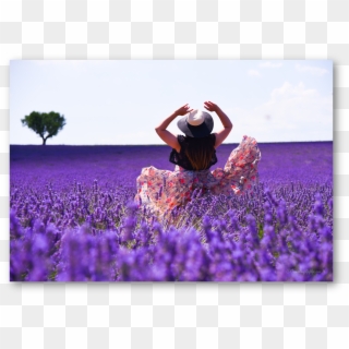 Twirling Away In Ocean Of Lavender In Provence - English Lavender, HD Png Download