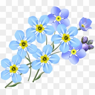 Small Flower Drawings Drawing Forget Me Nots Blue Free - Drawing Forget Me Not Flower, HD Png Download