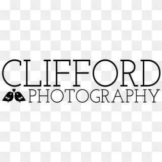 Clifford Photography >> Wedding Photography - Parallel, HD Png Download
