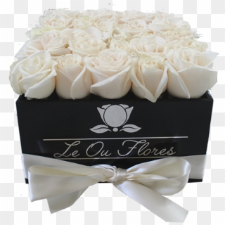 Caja De 25 Rosas Blancas - Garden Roses, HD Png Download