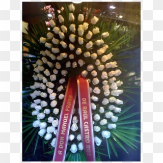 Corona Solo Rosas Blancas - Christmas Tree, HD Png Download